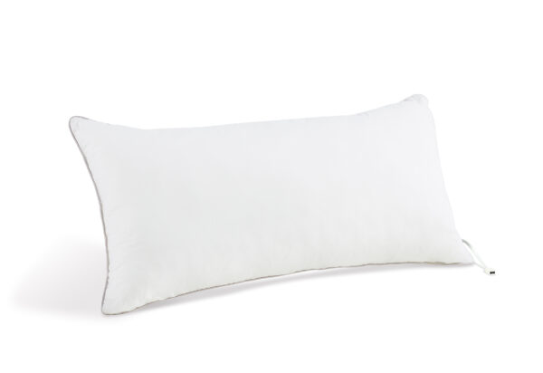 Smartpillow iX21
