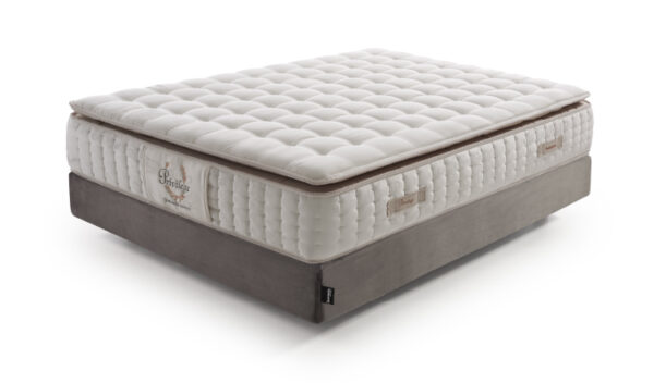 ESSENZIA PRIVILEGE