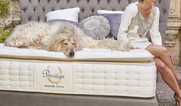 ESSENZIA PRIVILEGE - Imagen 4
